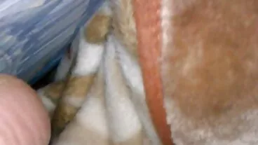 אדריאנה אוהבת סקס הארדקור