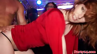 ויולט מאיירס חוזרת! a.k.a. Damn Dose Diddies הם דנדי